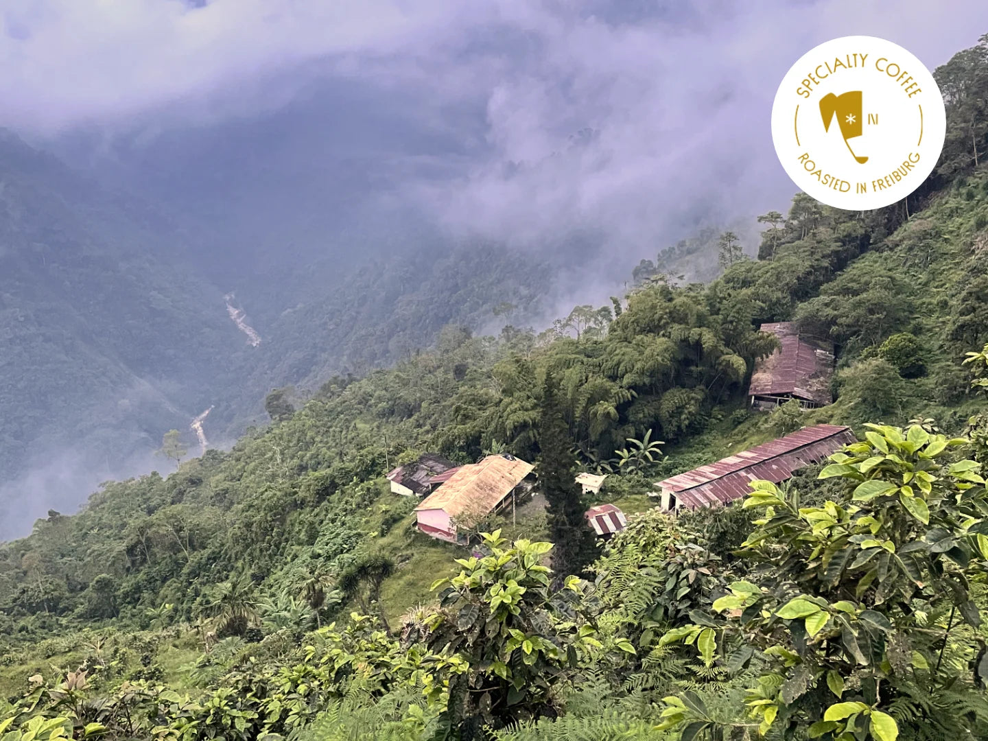 Bild der Finca San Luis in den tropischen Wäldern Kolumbiens. Blog-Header.