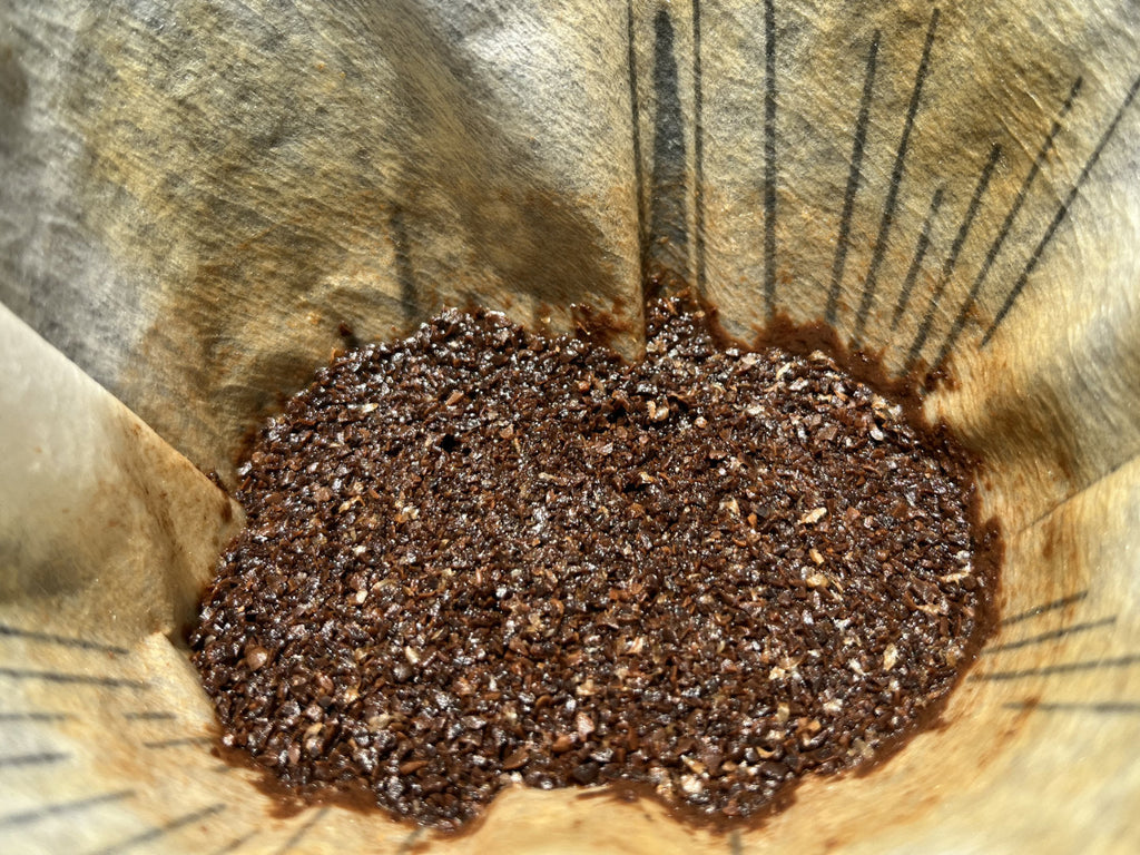 organischer dünger cannabis Bio-Cannabis-All-In-One-Dünger 1 Liter – Purgrün main image 1
