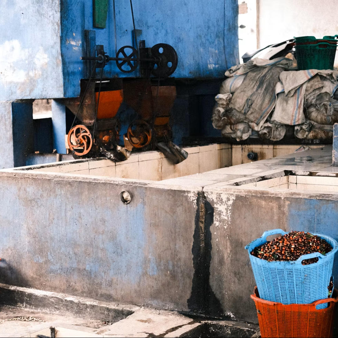 INDONESIA Ribang Gayo Filterkaffee