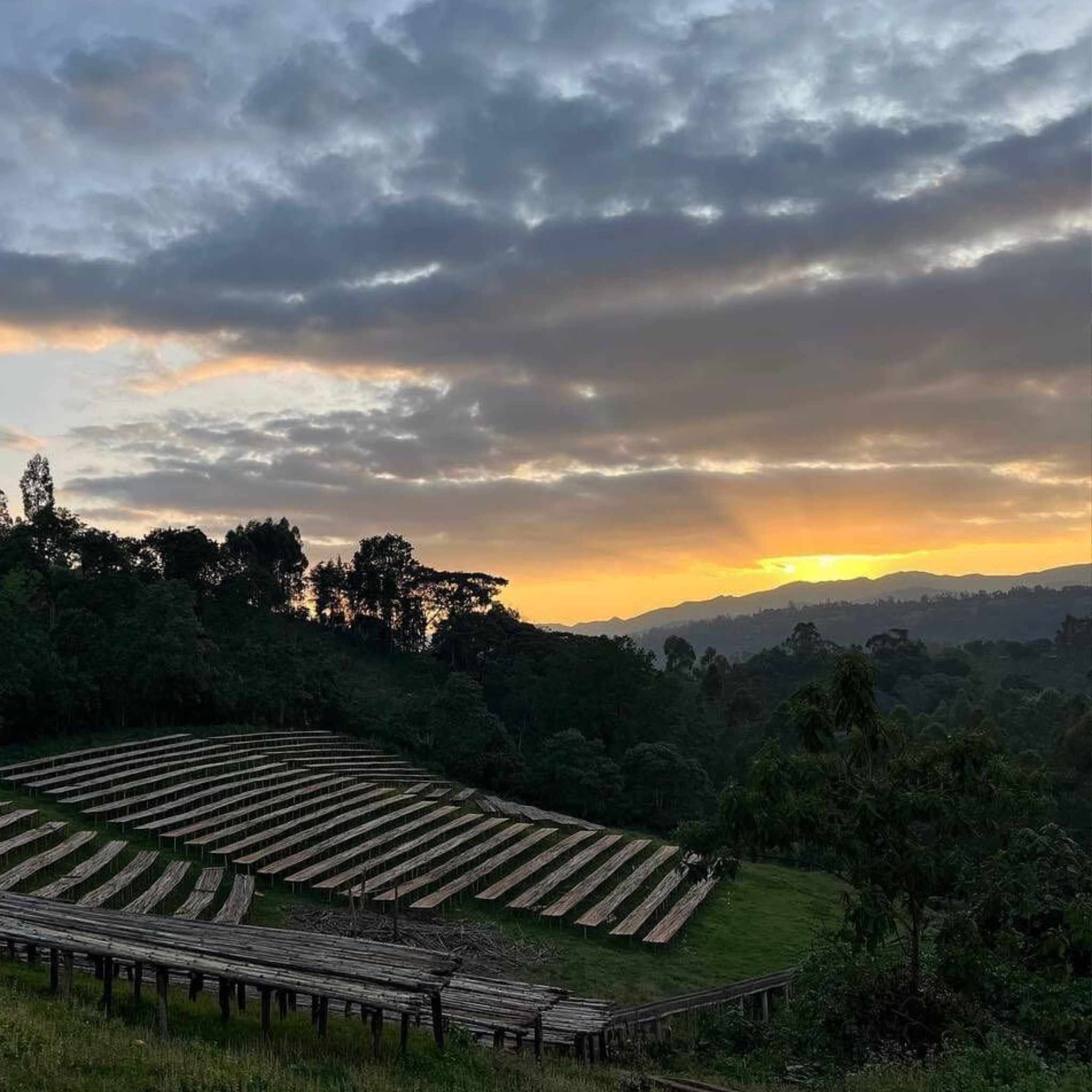 Coffee Washing Station in Äthiopien.