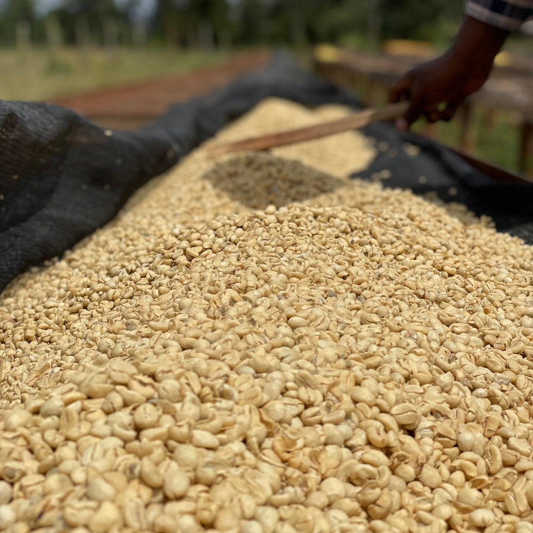Trockenbett auf dem Gelände der Gatuyaini Factory.