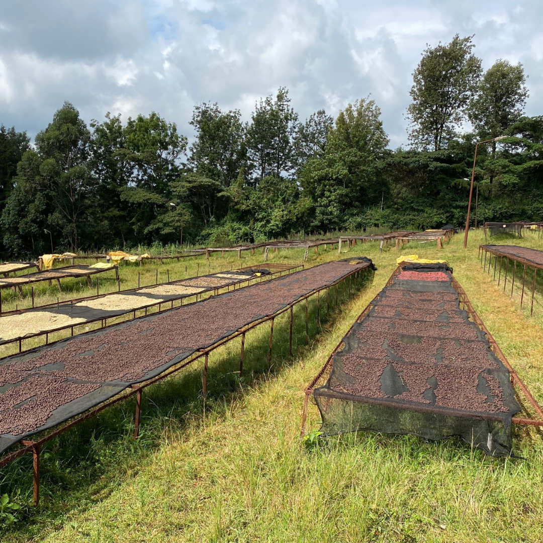 KENYA Kamunyaka Filterkaffee