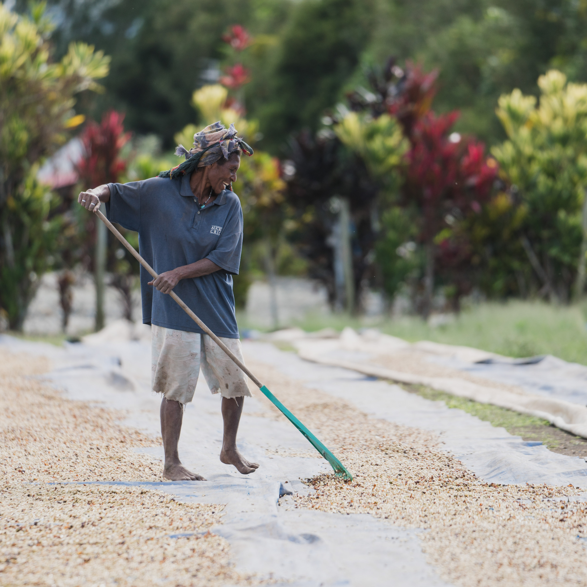 Arbeiter auf der Kindeng Dry Mill in Papua-Neuguinea.