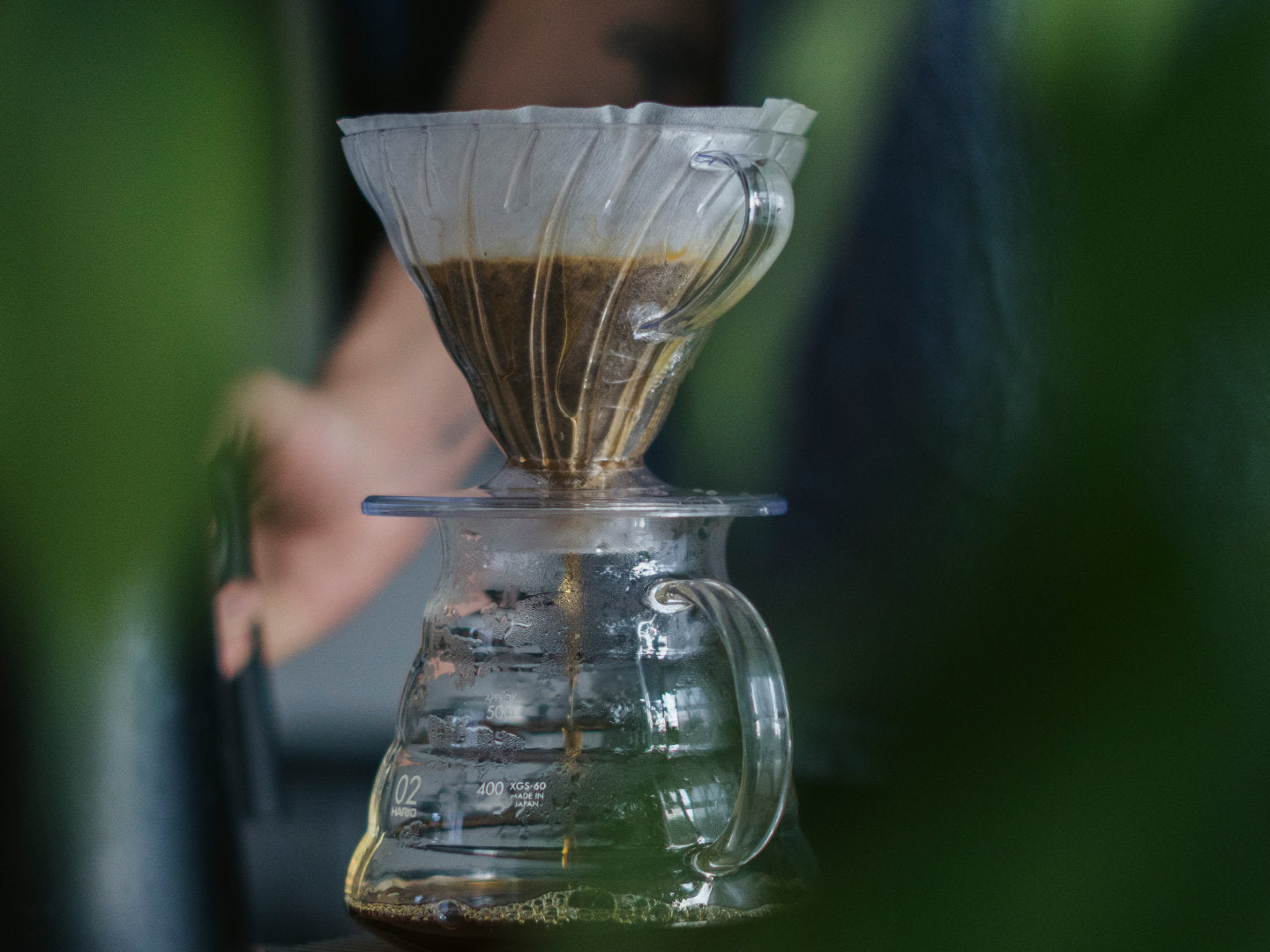 Filterkaffeebrüher mit Pflanzenblättern drumherum.