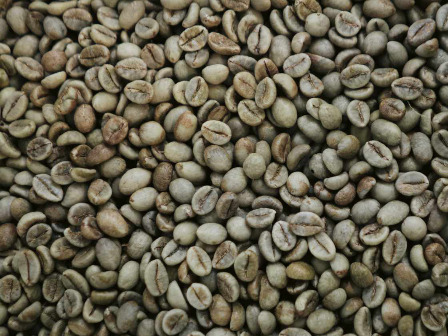 Rohkaffeebohnen, auch grüner Kaffee genannt. Titelbild zum Blogbeitrag.