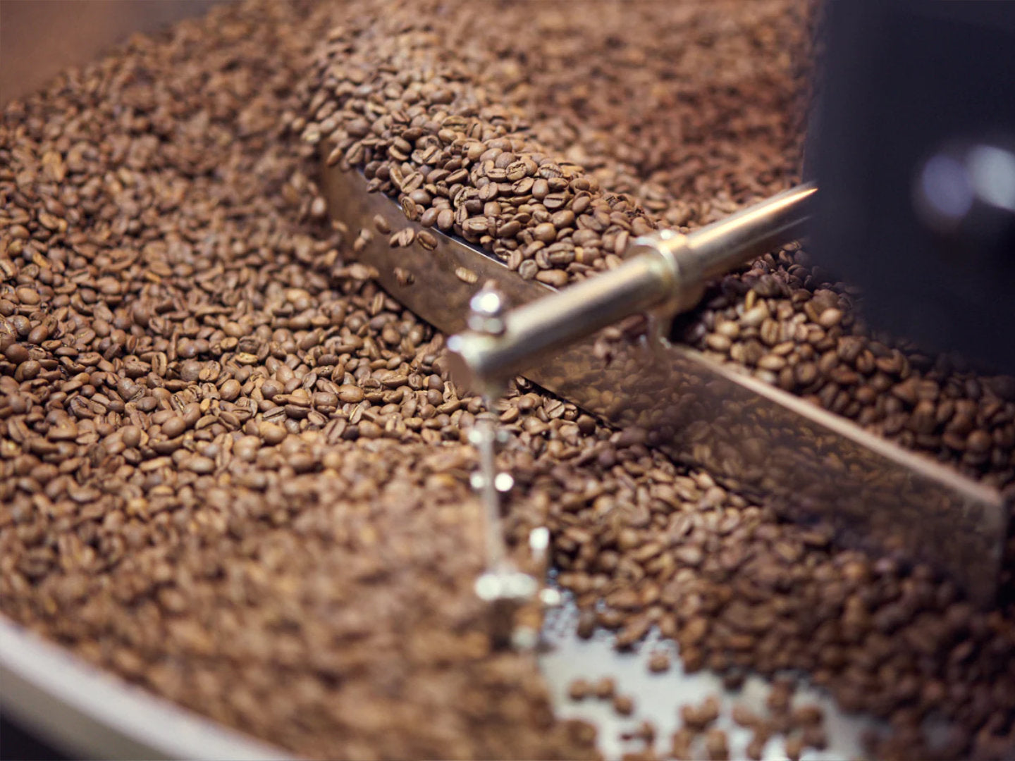 Titelbild zum Kaffeebohnen-Ratgeber. Zu sehen ist das Abkühlbecken des Rösters von Günter Coffee Roasters.