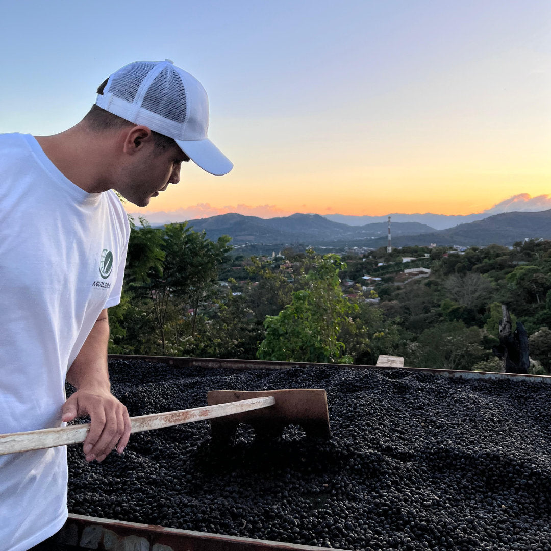 COSTA RICA Naranjo »Curated by Champions«