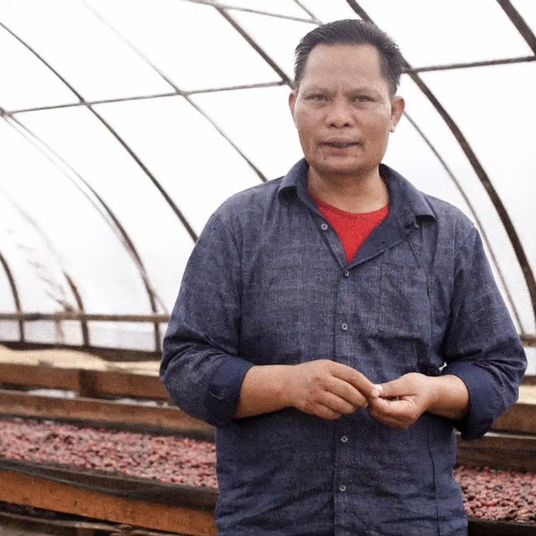 INDONESIA Ribang Gayo Filterkaffee