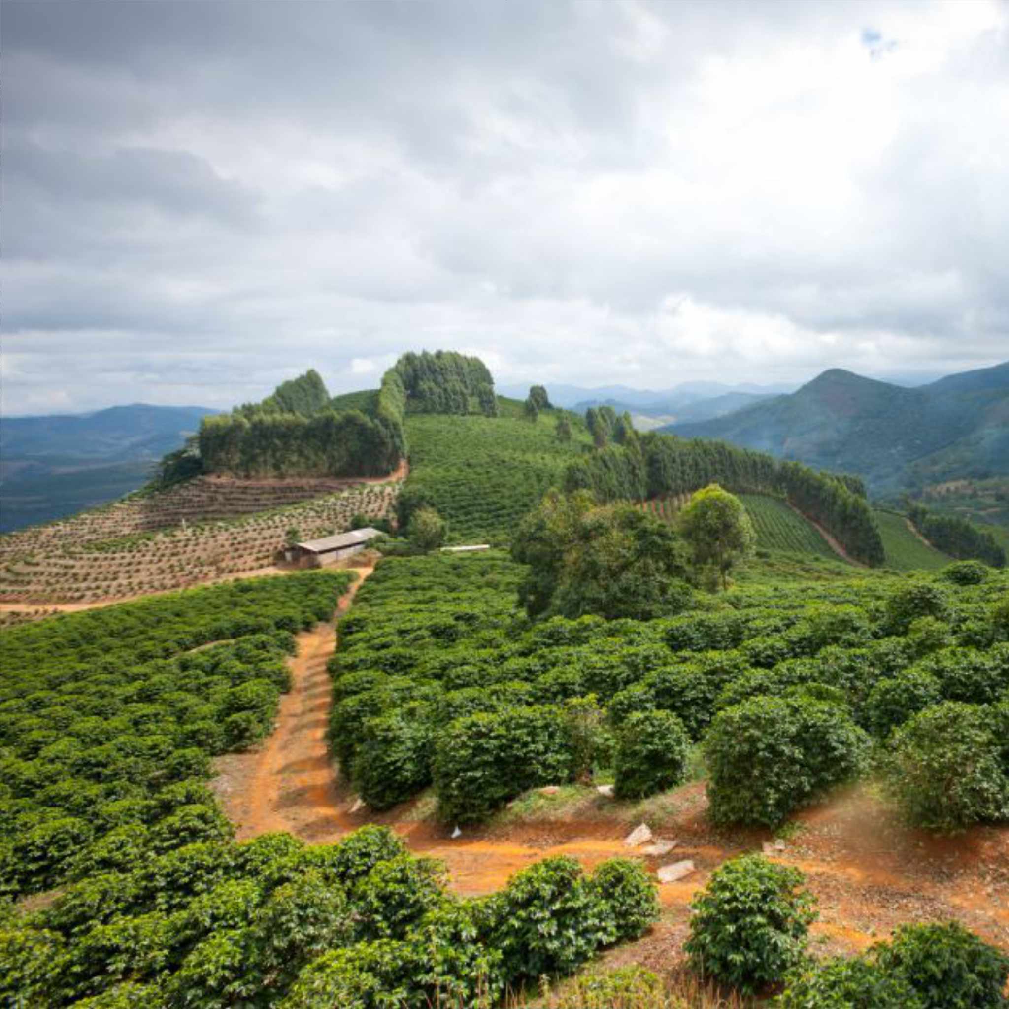 Dutra-Farm, Brasilien.