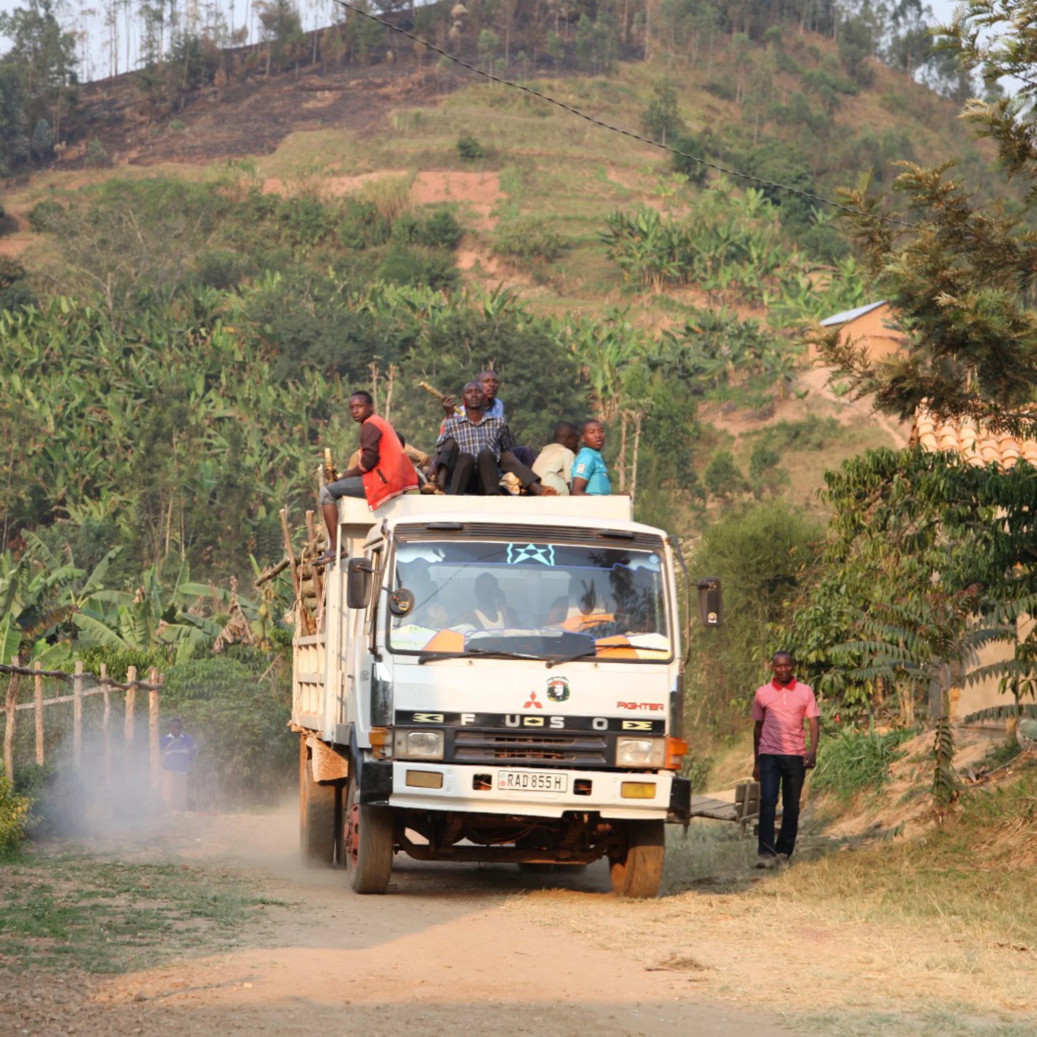 Kaffeearbeiter in Ruanda transportieren unseren Mr. Kong, der Teil des Marcello Strong ist, auf einem LKW über eine unbefestigte Straße.