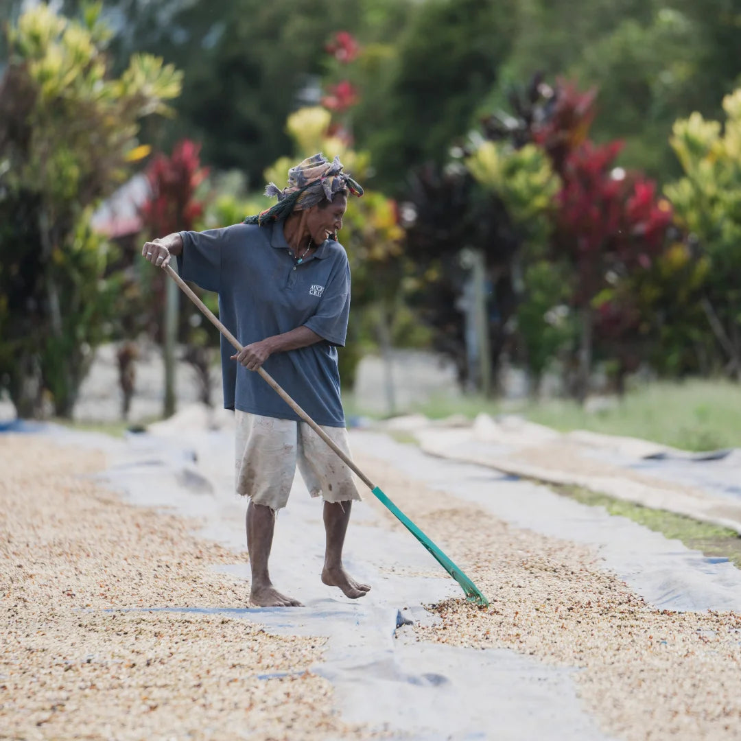 PAPUA NEW GUINEA Kindeng Espresso