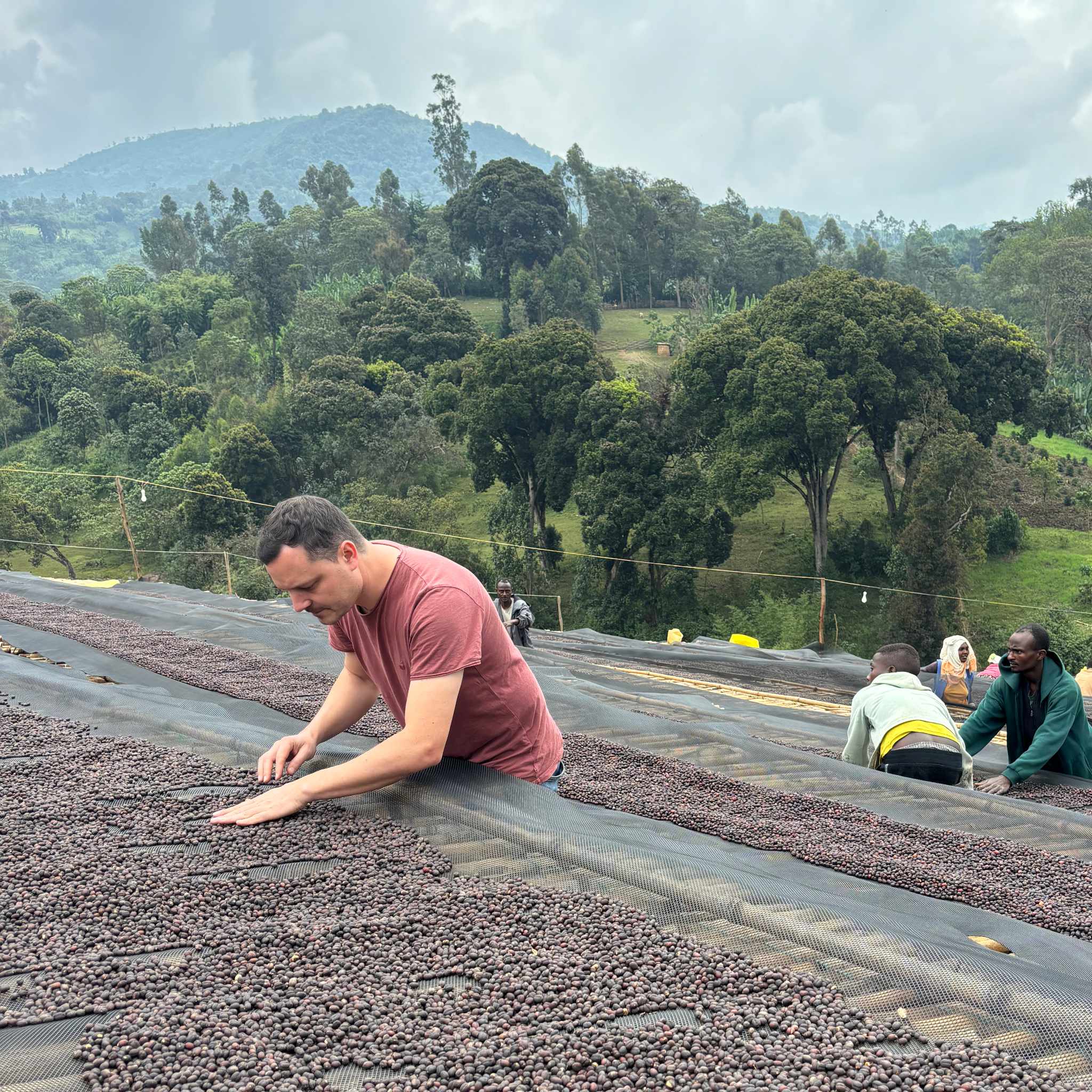 ETHIOPIA Gara Sole Filterkaffee